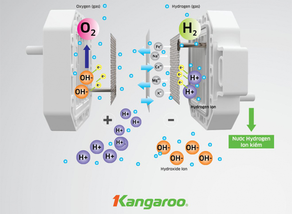 TÌM HIỂU) về công nghệ tạo nước Hydrogen của Máy lọc nước Kangaroo